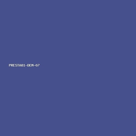 PRESTA81 07 — Spor Sneaker